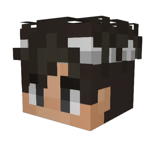 RenasHG Minecraft avatar head, 3D render