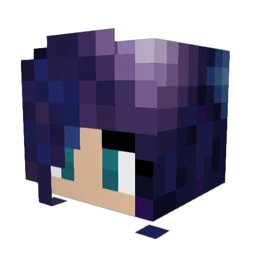 Renay0310 Minecraft avatar head, 3D render