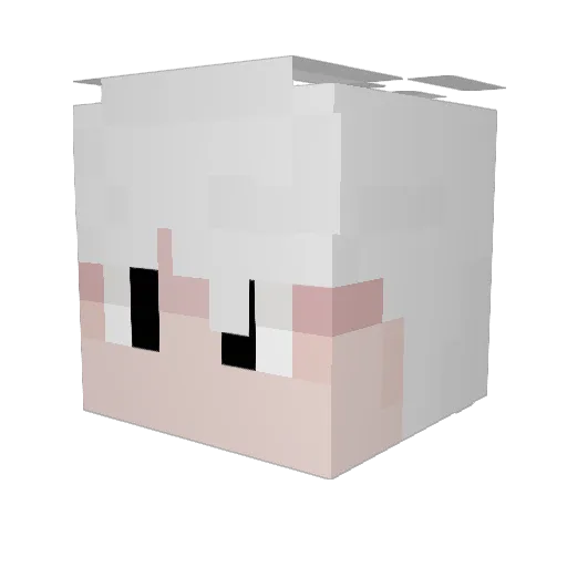 Renco45 Minecraft avatar head, 3D render