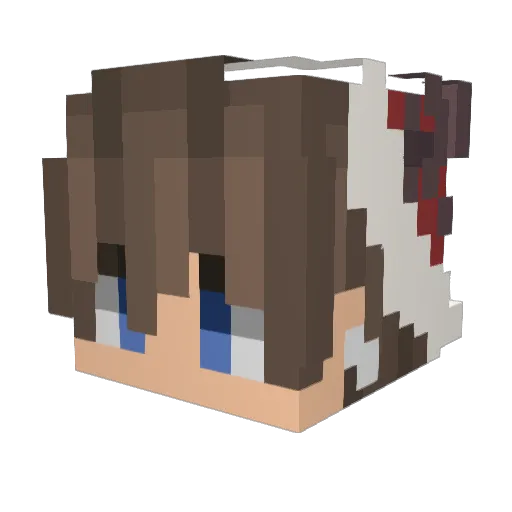 Rene2203 Minecraft avatar head, 3D render