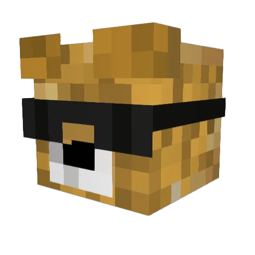 Rene2704 Minecraft avatar head, 3D render