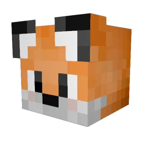 ReneMarcelDiener Minecraft avatar head, 3D render