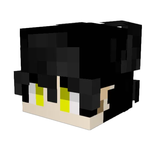 Renech78 Minecraft avatar head, 3D render