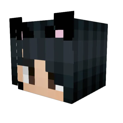 Renee6666 Minecraft avatar head, 3D render