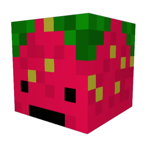 Renee9 Minecraft avatar head, 3D render
