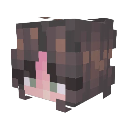 Renee_Wong Minecraft avatar head, 3D render