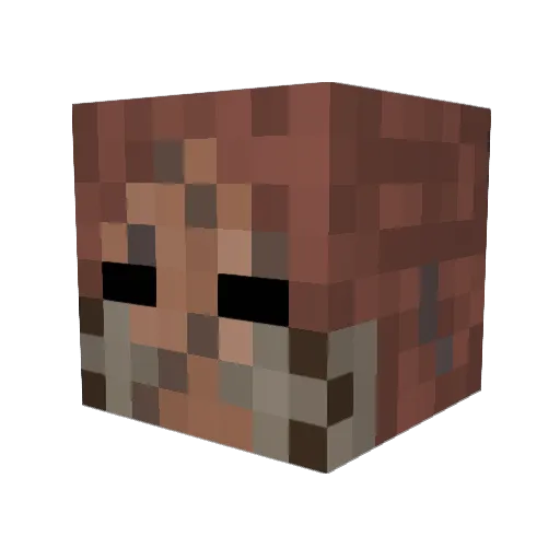 Renegade5312 Minecraft avatar head, 3D render