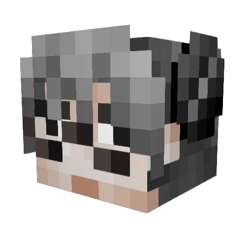 Renegade531 Minecraft avatar head, 3D render