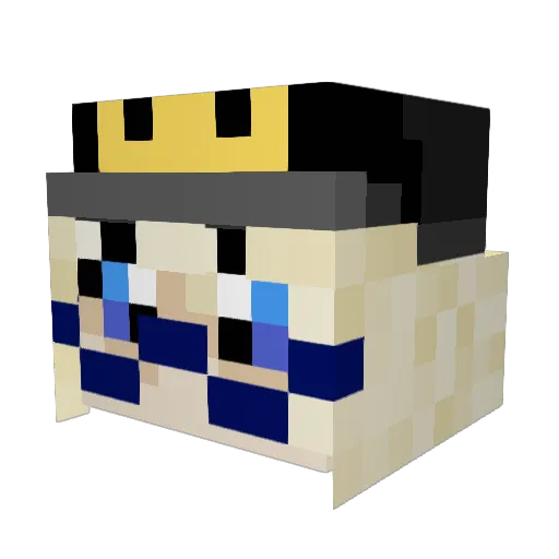 RenegadeReshiram Minecraft avatar head, 3D render