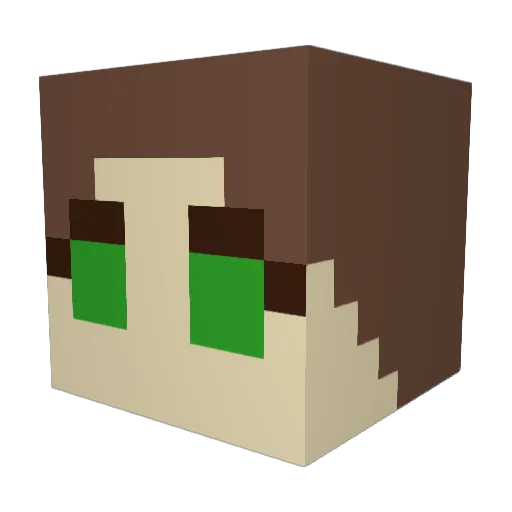RenegadeZero Minecraft avatar head, 3D render