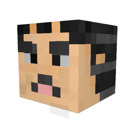 Renegadebeef Minecraft avatar head, 3D render
