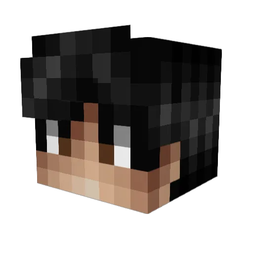 Reneqxde Minecraft avatar head, 3D render