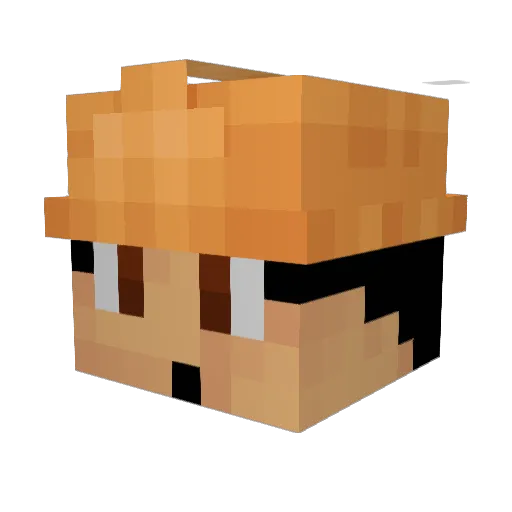 RenesLPs Minecraft avatar head, 3D render
