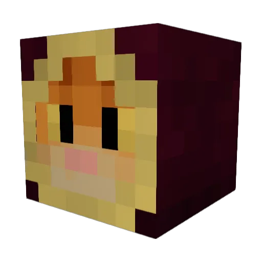 Reneveryday Minecraft avatar head, 3D render