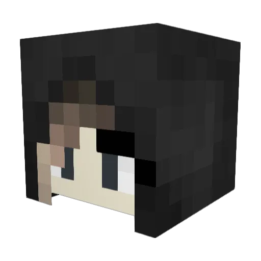 ReniKing Minecraft avatar head, 3D render
