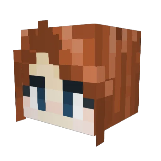 Reniebean Minecraft avatar head, 3D render