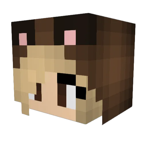 Renii00 Minecraft avatar head, 3D render