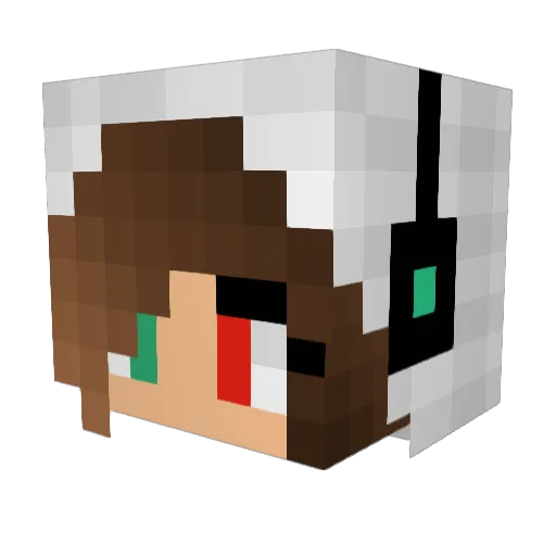 Reniken Minecraft avatar head, 3D render