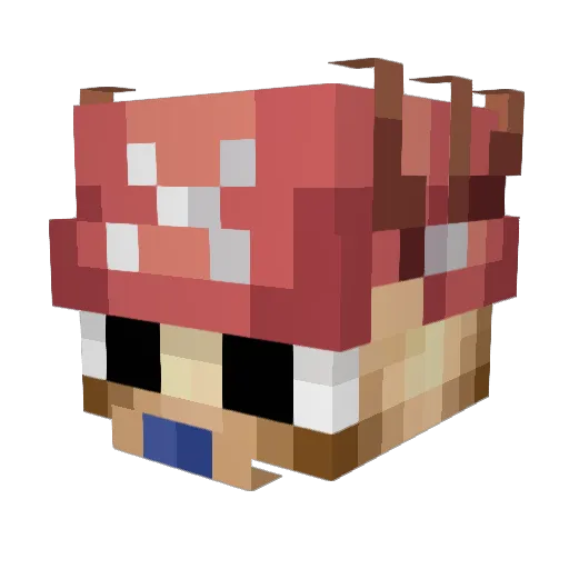 Renkoig Minecraft avatar head, 3D render
