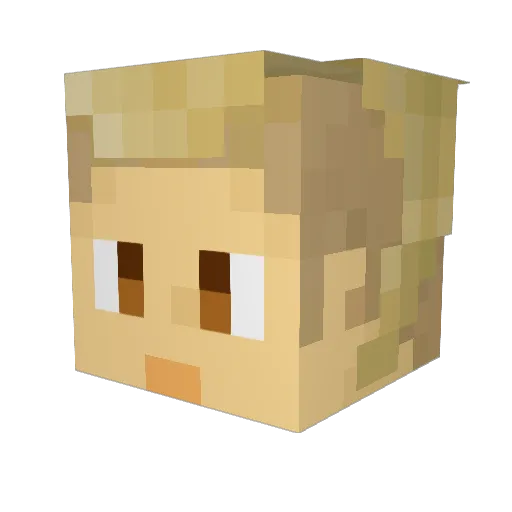 Renleilei Minecraft avatar head, 3D render
