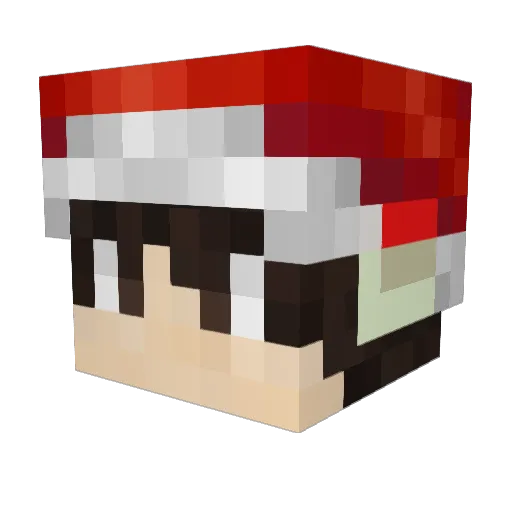 Renlo2506 Minecraft avatar head, 3D render