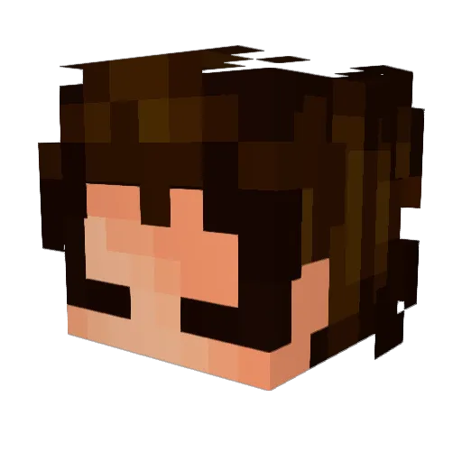 Rennai Minecraft avatar head, 3D render