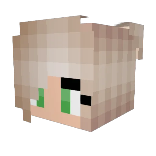 Rennell Minecraft avatar head, 3D render