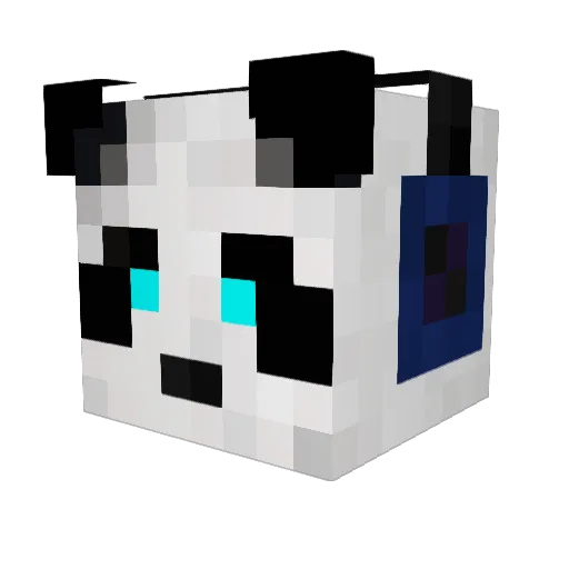 RennyMaster138 Minecraft avatar head, 3D render