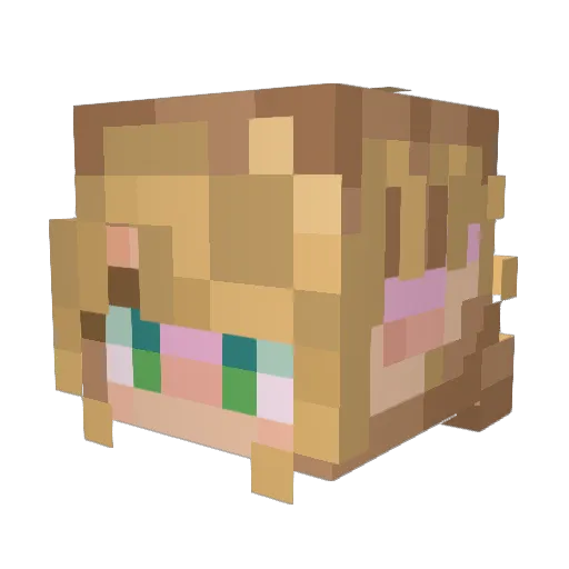Rennze Minecraft avatar head, 3D render