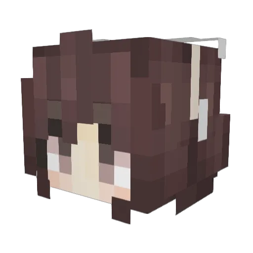 RenoBaum97 Minecraft avatar head, 3D render