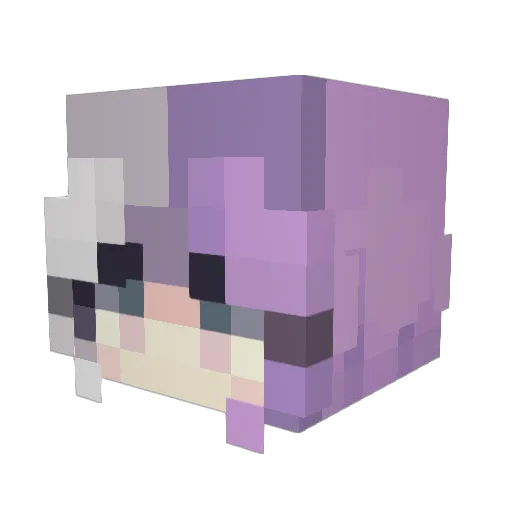 Renoko2023 Minecraft avatar head, 3D render