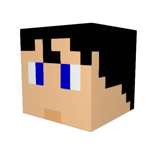 Rens0100 Minecraft avatar head, 3D render
