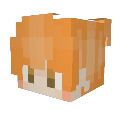 Rensenn_ Minecraft avatar head, 3D render