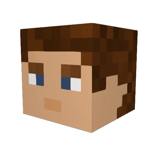 RensinblikYT Minecraft avatar head, 3D render