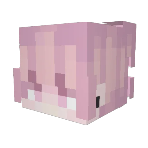Rensity Minecraft avatar head, 3D render