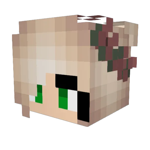 RenskeE Minecraft avatar head, 3D render