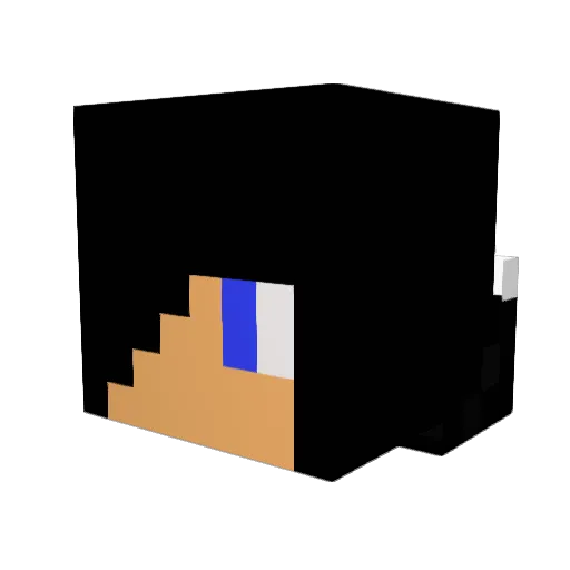 Rensleeuw Minecraft avatar head, 3D render