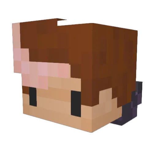 Renter512 Minecraft avatar head, 3D render
