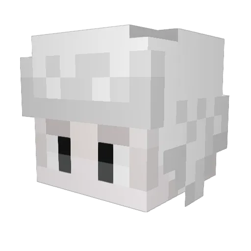 Renterq Minecraft avatar head, 3D render