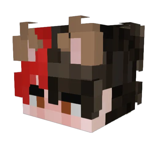 RenthePossum22 Minecraft avatar head, 3D render