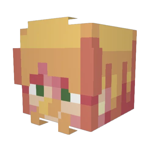 RentiSS Minecraft avatar head, 3D render