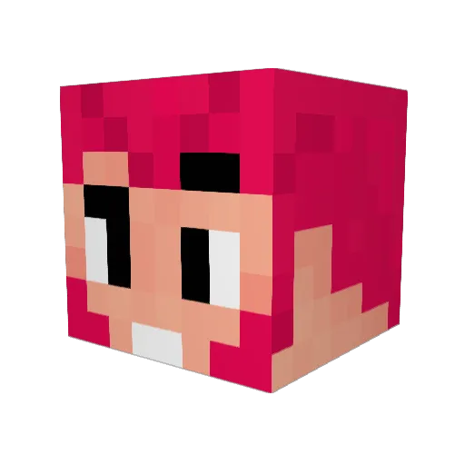 Rentner553 Minecraft avatar head, 3D render