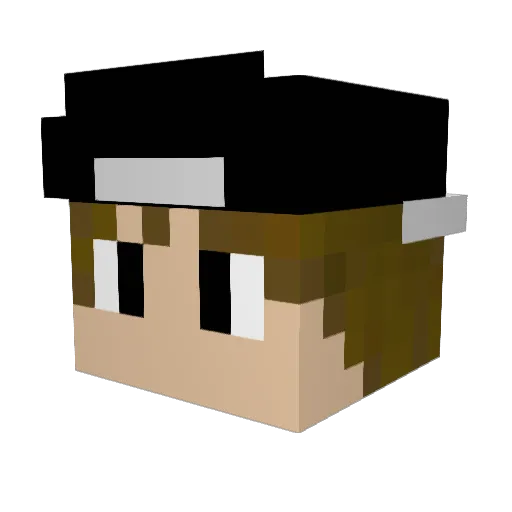 Rentnerbube Minecraft avatar head, 3D render