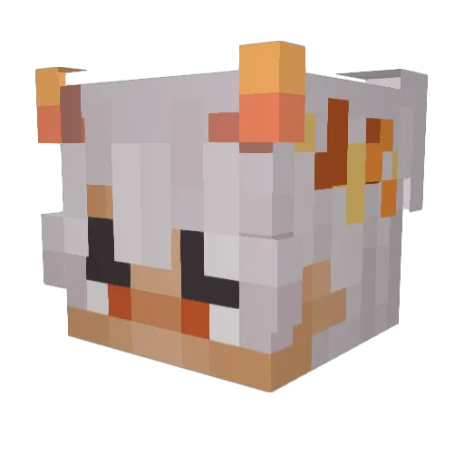 Renvargo Minecraft avatar head, 3D render