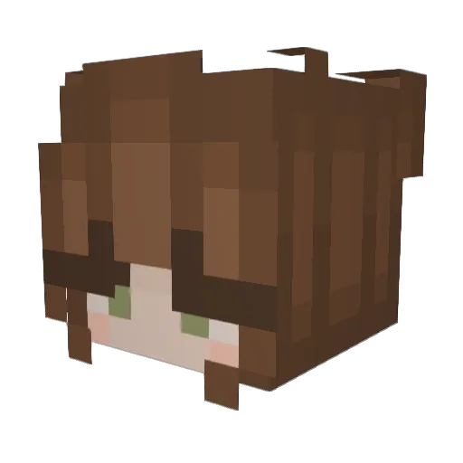 Renxqz Minecraft avatar head, 3D render