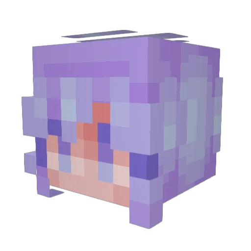 Renxy99 Minecraft avatar head, 3D render