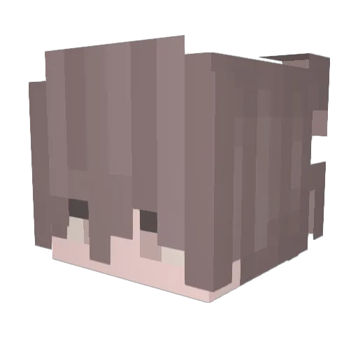 Reny0225 Minecraft avatar head, 3D render