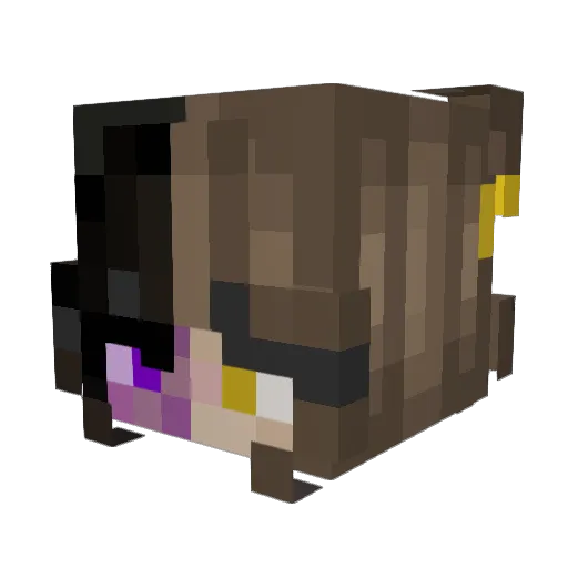 RenyPao Minecraft avatar head, 3D render