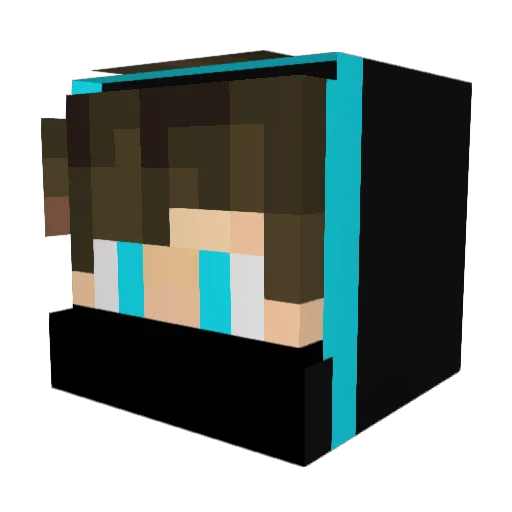 Renyaa00 Minecraft avatar head, 3D render