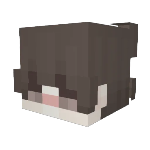 ReoReoReo_ Minecraft avatar head, 3D render